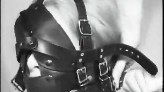 Heavy leather head harness