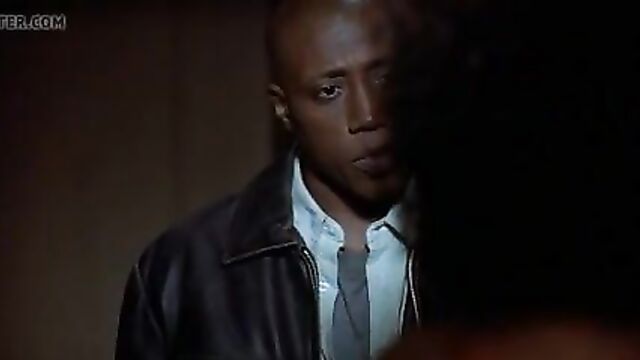 Sanna Lathan sex scene with Wesley Snipes