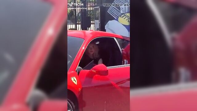 Saxon Sharbino posing in a red car