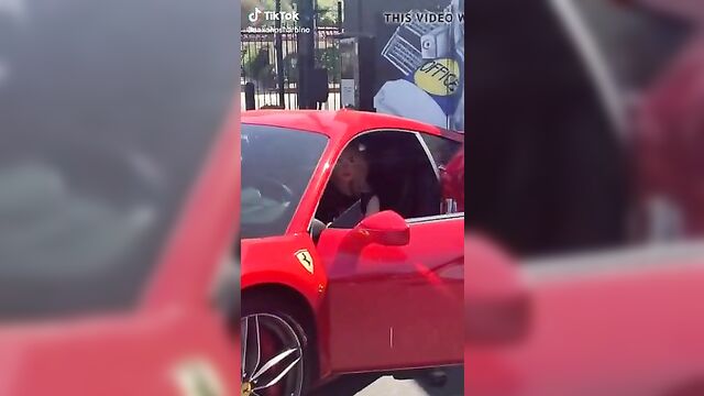 Saxon Sharbino posing in a red car