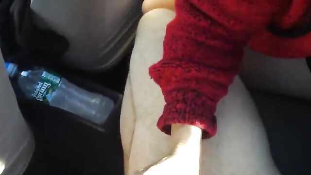 Mary Murphy, blowing and fucking me in my car