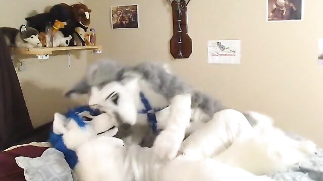 fursuit 2