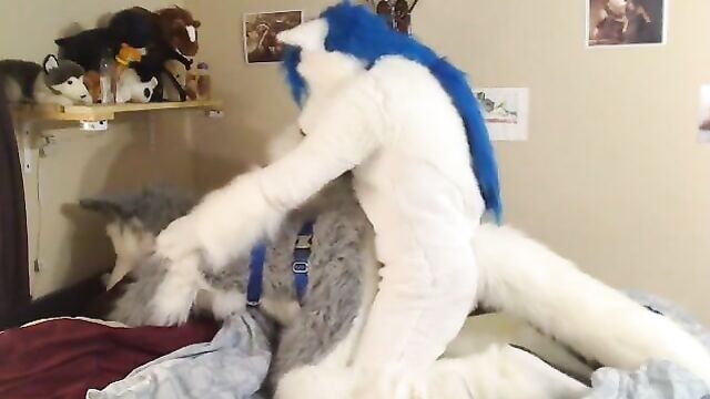 fursuit 2