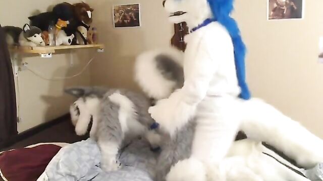 fursuit 2