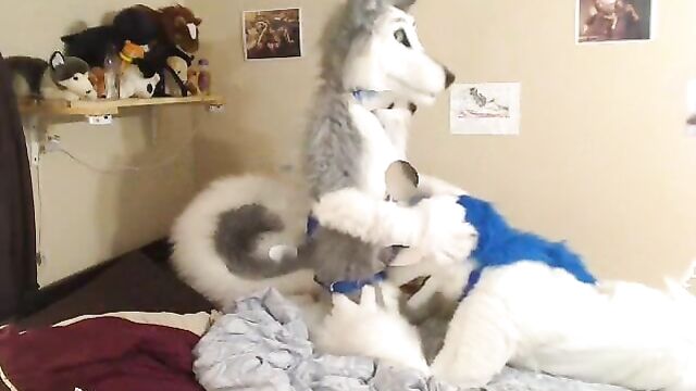 fursuit 2