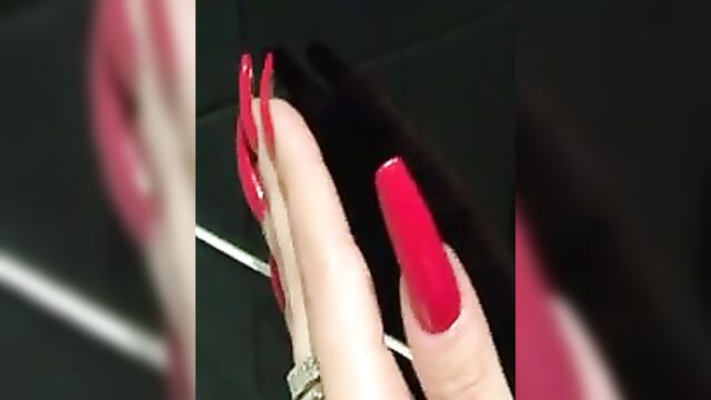 The most beautiful long nails in the world