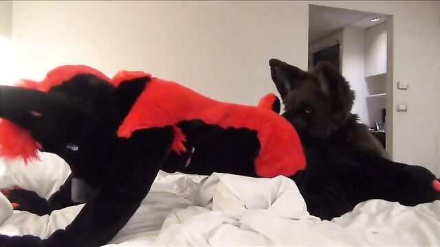 Darkwingo fucks a wolfboi in hotel room