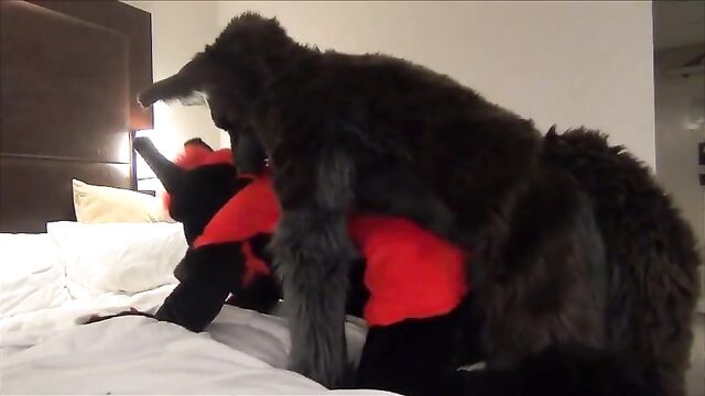 Darkwingo fucks a wolfboi in hotel room