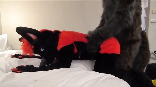 Darkwingo fucks a wolfboi in hotel room