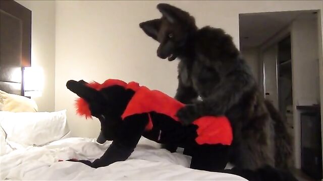 Darkwingo fucks a wolfboi in hotel room