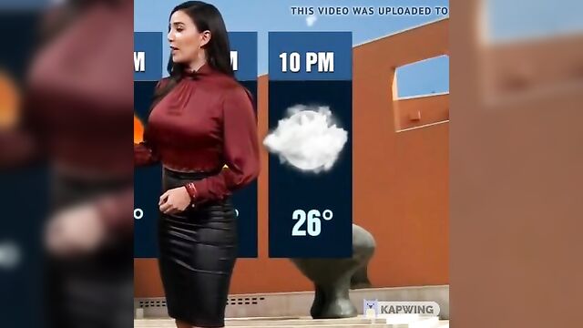 Hot satin pencil skirt weather girl