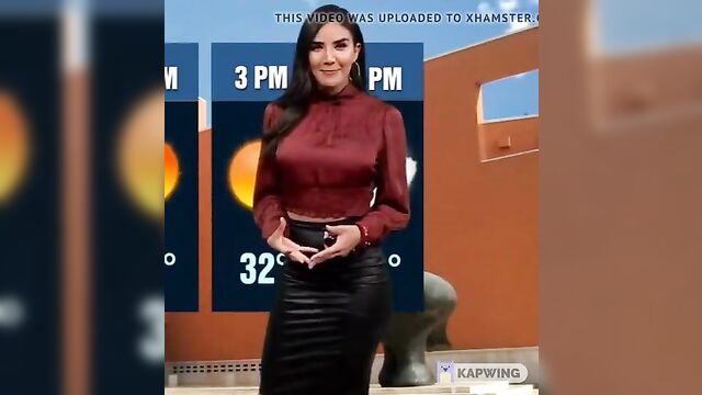 Hot satin pencil skirt weather girl