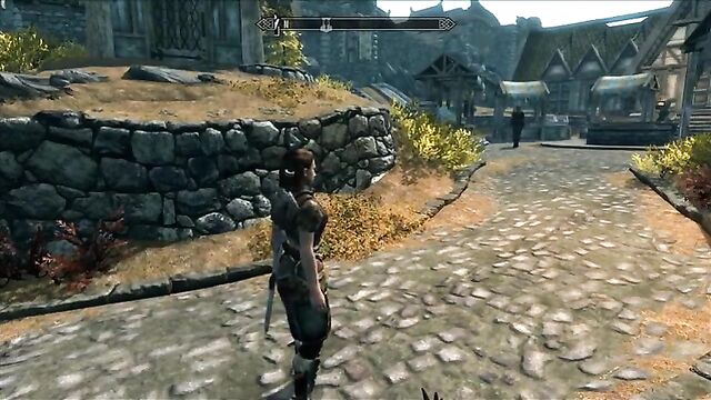 Perils of escaped Skyrim slavegirl 11