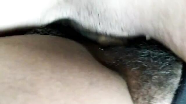 Interracial CreamPie. Hungry black pussy with white cock